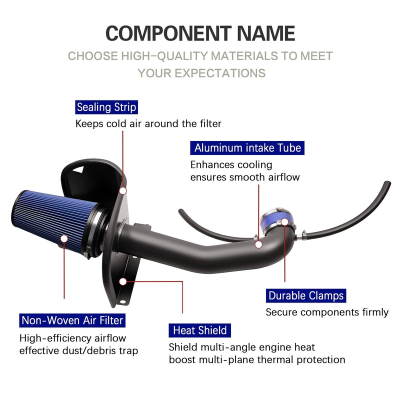 Cold Air Intake System with Heat Shield, Black Powder Coated,