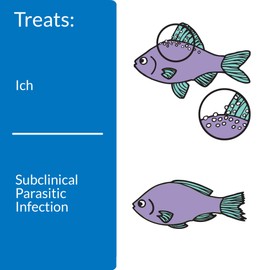 API LIQUID SUPER ICK CURE Freshwater and Saltwater Fish Medication Bottle, 1.7 oz (12A)