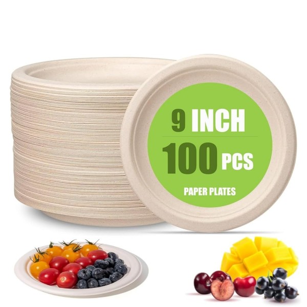 50 Pack Oval Paper Plates, Primary Colour Sugarcane Fiber Repeatable
