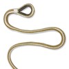 Double Braided Nylon Anchor Line with Stainless Thimble (Gold/White, 1/2-Inch