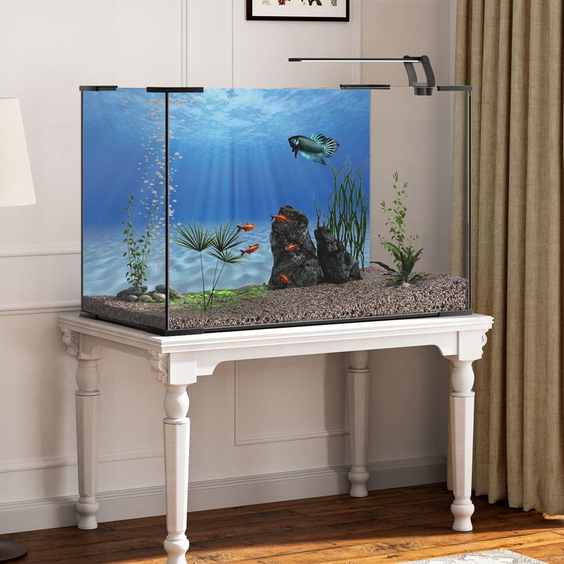 MIRRORANG 61x30cm Undersea Theme Aquarium Background Sunshine Underwater World Fish