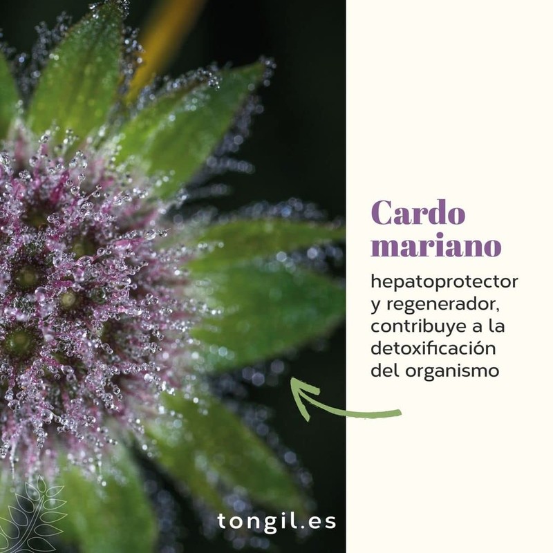 TONGIL Hepatimax 20VIALES