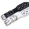 haoyueer Unisex White Studded Leather Dog Collar Medium Large Pitbull