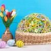 1 LB Iridescent Easter Grass Multicolor Rainbow Raffia Grass Crinkle