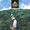 Café Sello Rojo Premium Colombian Coffee | Medium Roast Premium