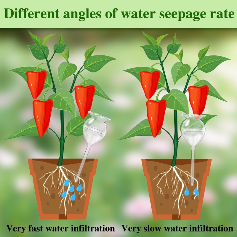Haawooky 8 Pack Self Watering Globes,Clear Glass Plant Water Bulbs,Hand