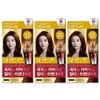 Elastine Salon de Color gray hair dye cream light brown 3pcs / 엘라스틴 살롱 드 컬러 새치 염색 크림 밝은갈색 3개