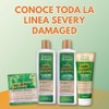 Every Strand Mascarilla Tratamieno para Cabello Severamente Dañado 236 g