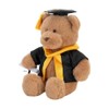 With Heart Medium Graduation Bear Plush Toy with Scroll, 24