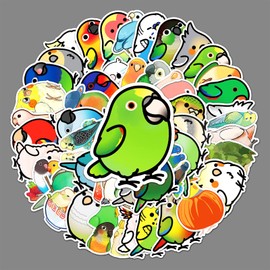 Colourful Bird Stickers 50 Pcs Cute Waterproof Parrot Stickers for Water Bottle Laptop Phone Bumper Car Skateboard Luggage Bike,Cartoon Animal Stickers for Kids Teens Adults Girls