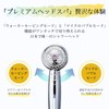 Toshin TH-047-C AngelAir x Crystal Micro Bubble Shower Head, 2-Way