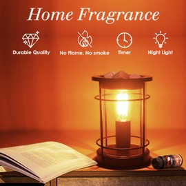 SALUBRITO Electric Wax Melt Burners with Timer, Metal Glass Wax Burners for Wax Melts, Wax Melter with 40W Edison Bulb for Home