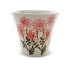 J-kitchens Izan Kiln Cup (Tea Cup), Hasami Ware, Made in