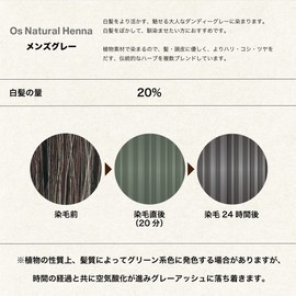 Oz Natural Henna Men's Gray (1.4 oz (40 g) x 2 Bags x 3 Boxes, Instruction Manual and Gloves Included, Men's Gray