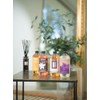 Esteban Esteban - 500 ml Duftnachfllung - Duft Nroli -