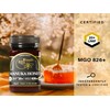 Manuka Honey 500g UMF 20+ (MGO 826+) Pure New Zealand