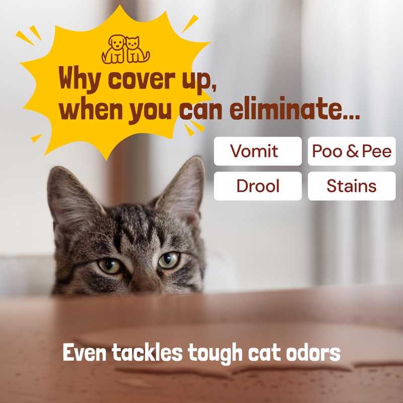Sunny & Honey Pet Stain & Odor Miracle - Enzyme