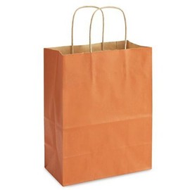 K-Kraft Orange Bags, Medium 8 x 10.25 x 4.5, Set of 13, Made in USA