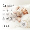 LUMI | Portable White Noise Machine | Baby Sleep Aid