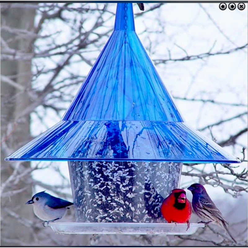 Sky Cafe - Squirrel Proof Bird Feeder for Outside -