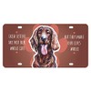Irish Setter Watercolor Mini Metal License Plate 4.75 x 2.25
