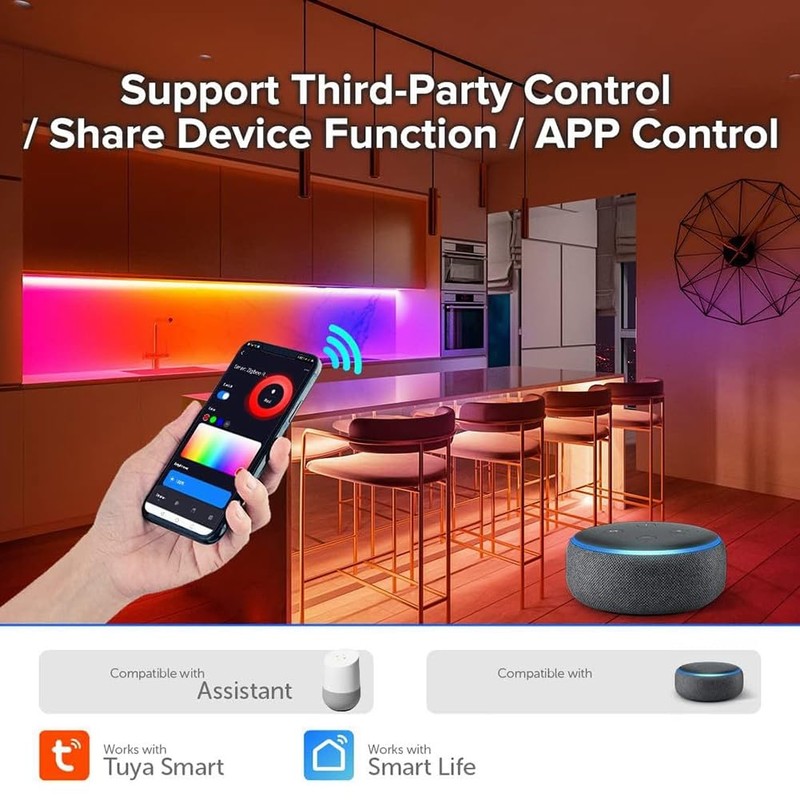 Peakloong Light Strip Controller RGB Light Strip Controller TUYA Smart