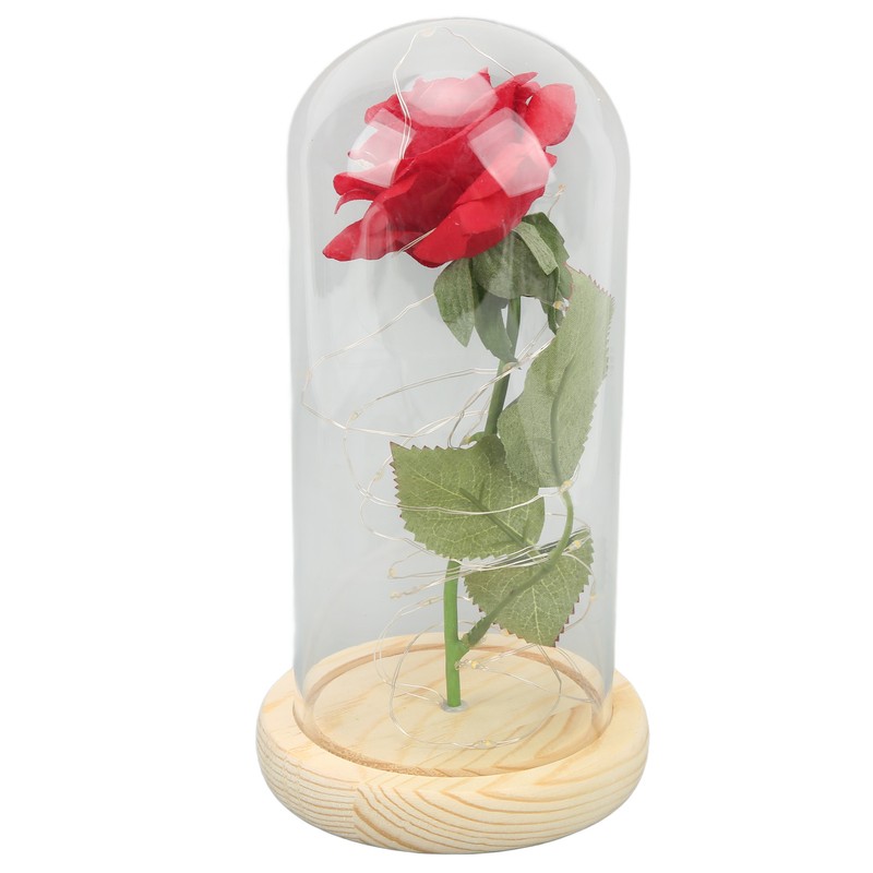 Rose in Glass Dome Lucky Beautiful Symbolism Romantic Enchanted Rose