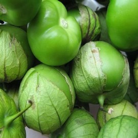 300 Verde Tomatillo Seeds for Planting 0.5+ Grams of Seeds Green Tomatillo Non GMO Heirloom USA Harvested