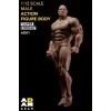 ADAM Comic Style Super Strong 1/12 Scale Male Action Figure