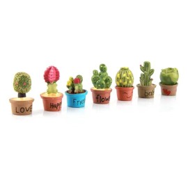 L 7pcs Pequeño Cactus Miniatura Suculentas Plantas Decora Z