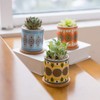 COLOAPT Succulent Plant Pots - 3.1 inch Ceramic Succulent Planter