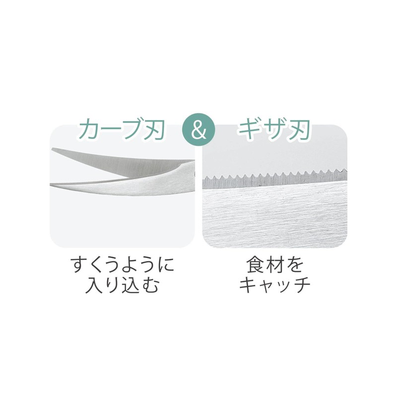 Kakusee NB-13 Kitchen Scissors, Curved Blade, Giza Blade, Length 3.5