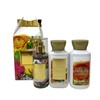 Bath and Body Work Brightest Bloom - Mini Gift Set