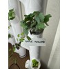 Reusable Plant Labels for Gardyn Hydroponic Systems (Set of 10)