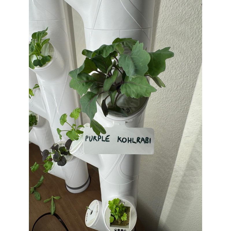 Reusable Plant Labels for Gardyn Hydroponic Systems (Set of 10)
