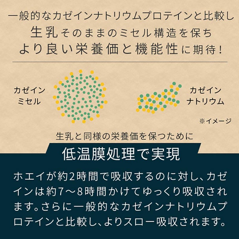 nichie ミセルカゼインプロテイン 無添加 フランス産 プレーン味 100g