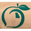 Georgia Peach Pride Sticker