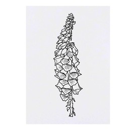 'Foxglove' Temporary Tattoo - Water Resistant, Skin-Safe, Non-Toxic Transfer (TO00042160)
