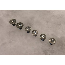 TORX Replacement Scale & Pivot Screws for Spyderco Paramilitary 2 - Set of 6