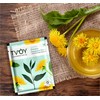 Natural Green Tea, Dreamy Dandelion Herbal Green Tea Blend with