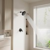 Lavatrum Mate Black Shower Head and Handle Set Single Spray