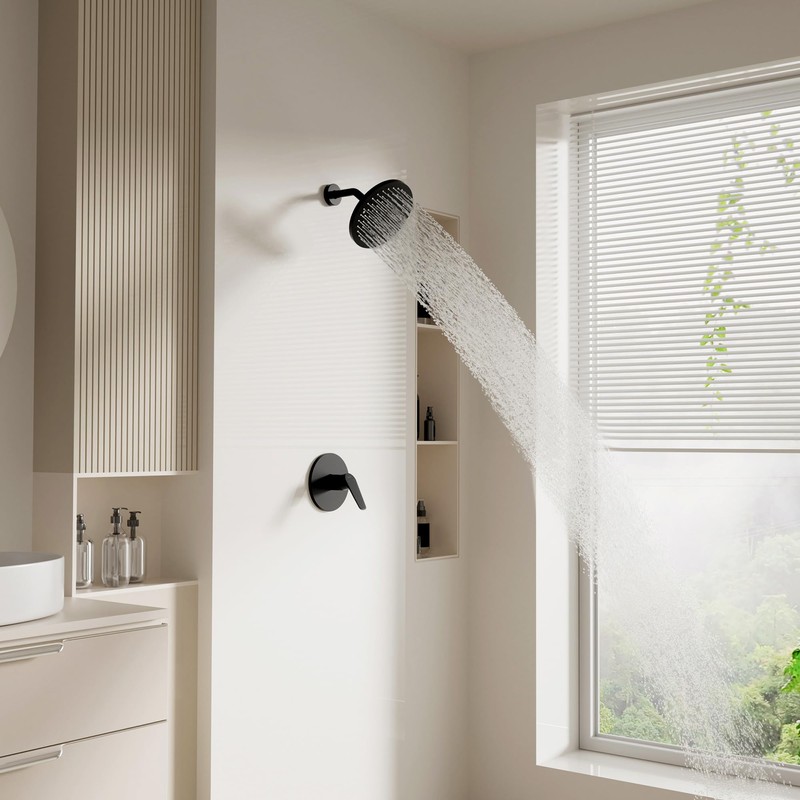 Lavatrum Mate Black Shower Head and Handle Set Single Spray