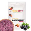 Freeze Dried Blackcurrant Powder 100g - No Added Sugar, 100%