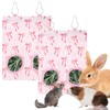 JarThenaAMCS 2Pcs Rabbit Hay Feeder Bag with 2 Holes Pink