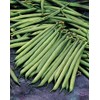 * Vegetable - Dwarf French Bean - Safari - 100