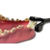 Petosan Complete Dental Kit for Small Dogs