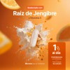 Vitamina Jengibre 240 Cápsulas Apoya Defensas Naturales Energía Bienestar General