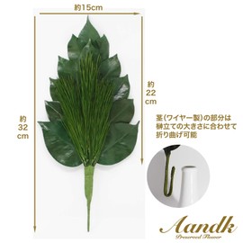 Premium Araginatsu Preserved Medium Size (1 Bundle) (Uses 3 Csubella Leaves and Miyakomatsu Type) Santreasure Pine