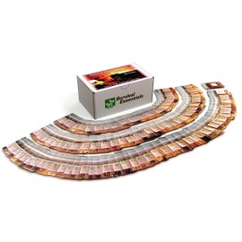 Survival Essentials 100 Variety Premium Heirloom Non Hybrid Non GMO Seed Bank – 17,880+ Seeds - All In One Super Value Pak…Veggies, Fruits, Medicinal/Culinary Herbs – Plus FREE Microgreens Kit.