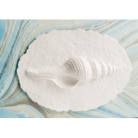 Earth Memorials The Favorite Place Biodegradable Urn for Human Ashes, Large Shell in Mist Urn Box, Water Burial, EcoFriendly, Blue/Metallic Silver Swirl K-124